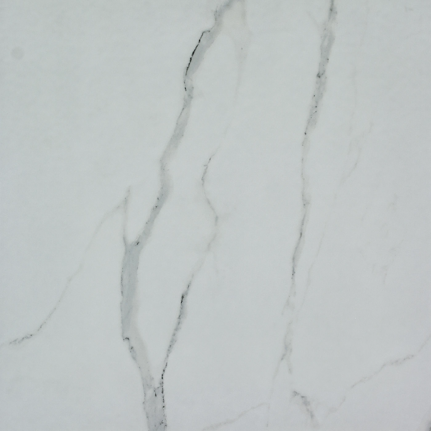 Statuario Nuovo Porcelain Tile Rectified Edge - Honed Finish 600 x 600 x 9 (0)